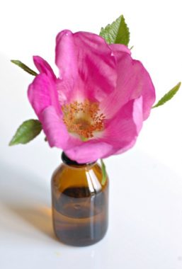 hagebuttenkernoel wirkung